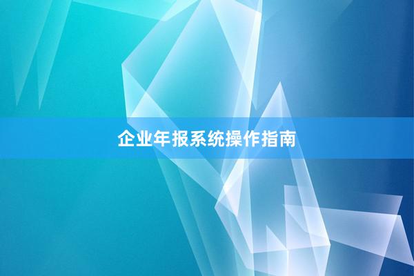 企业年报系统操作指南